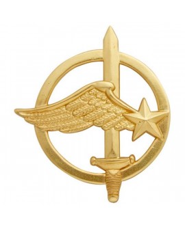 Insigne Or Commando de l'Air