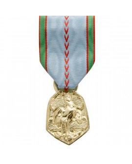 Médaille Commémorative 39 45