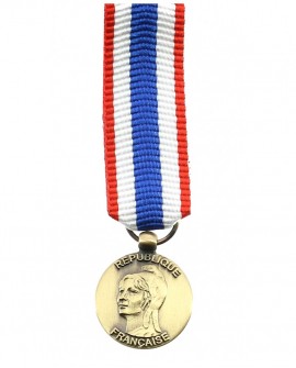 Médaille Protection Militaire du Territoire