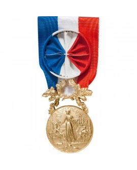 Médaille Honneur pour Acte de Courage et Dévouement  Or Bronze Doré