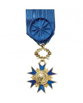 Médaille Officier de l'Ordre du Mérite Bronze Doré