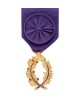Médaille Officier de l'Ordre des Palmes Académiques Bronze Doré