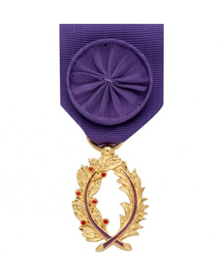 Médaille Officier de l'Ordre des Palmes Académiques Bronze Doré