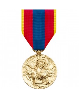 Médaille Défense Nationale Or
