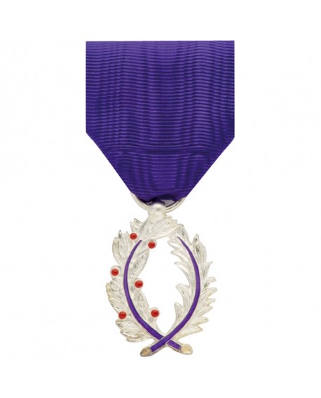 Médaille Chevalier de l'Ordre National des Palmes Académiques Bronze