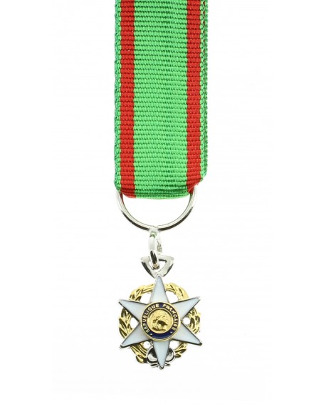 Médaille Chevalier de l'Ordre National du Mérite Agricole Bronze Argenté