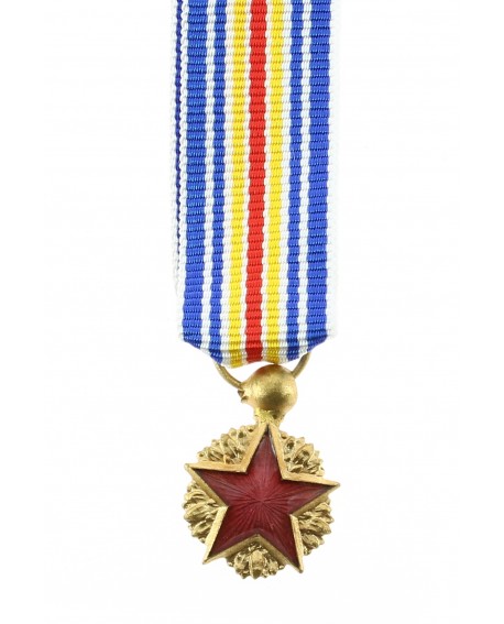 Médaille Commémorative Blessés 
