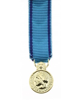Médailles Honneur Jeunesse et Sports et Engagement Associatif Bronze