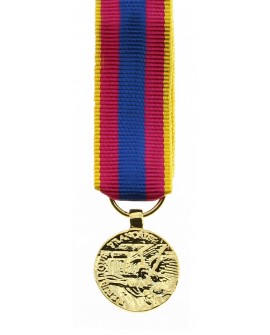 Médailles Défense Nationale Principales décorations Patine