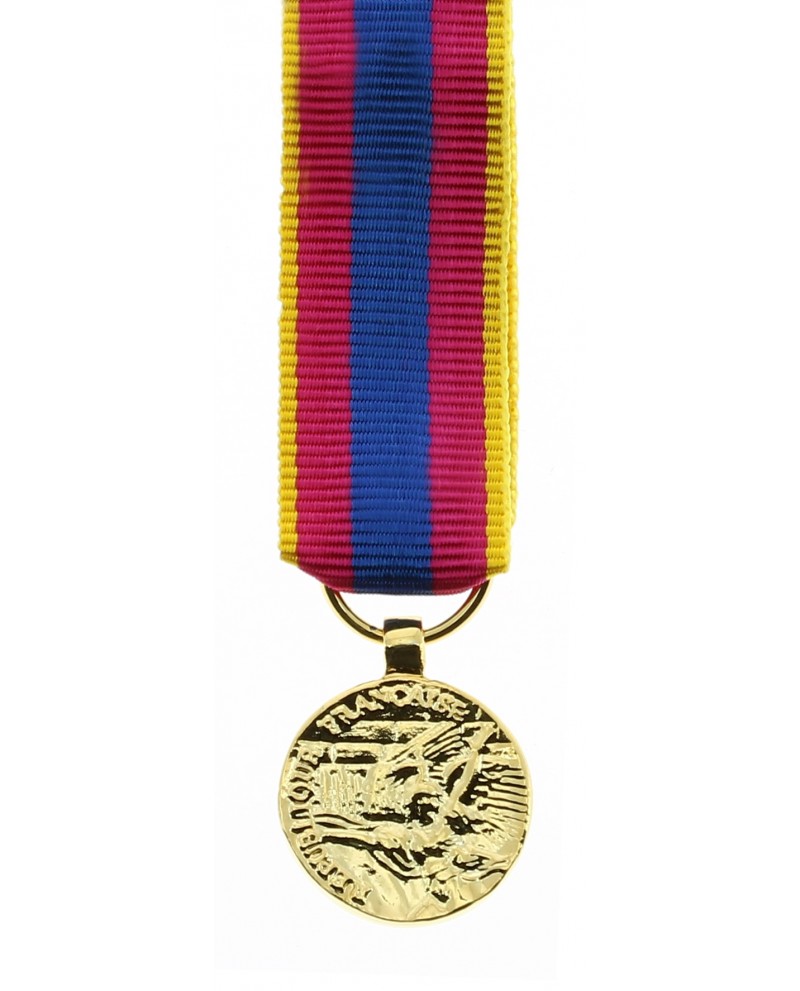 Rappel de Médaille DEFNAT Défense Nationale ARGENT avec agrafe INFANTERIE 