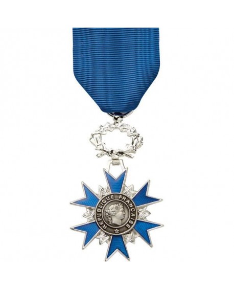 Médaille Chevalier de l'Ordre National du Mérite Bronze Argenté