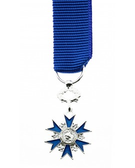 Médaille Chevalier de l'Ordre National du Mérite Bronze Argenté