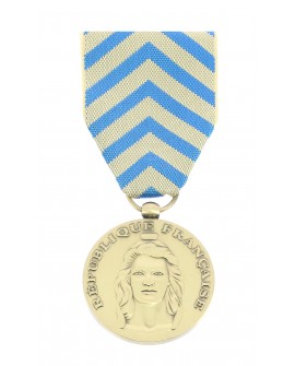 Médaille Reconnaissance de la Nation patiné
