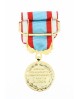 Médaille Commémorative AFN 