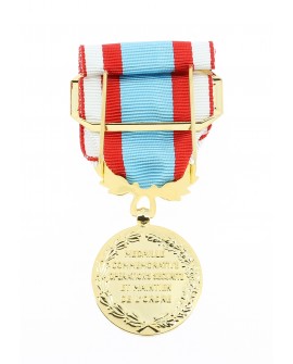Médaille Commémorative AFN 