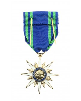 Médaille Officier de l'Ordre du Mérite Maritime Bronze