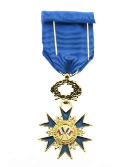 Médaille Officier de l'Ordre du Mérite Bronze Doré